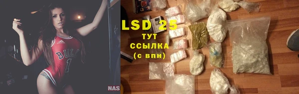 крисы Пересвет