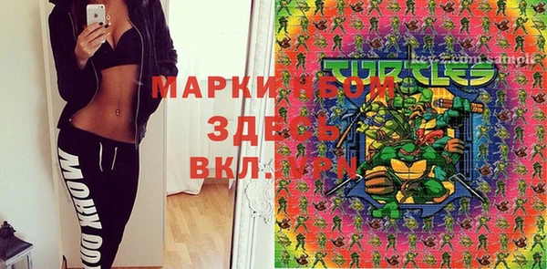 дмт Абаза