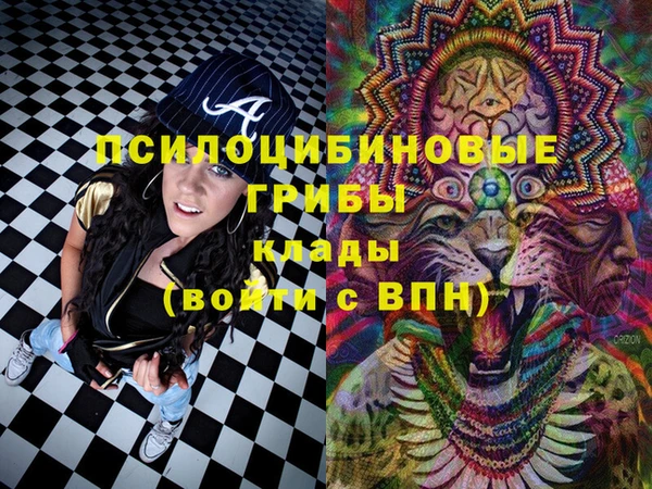 дмт Абаза
