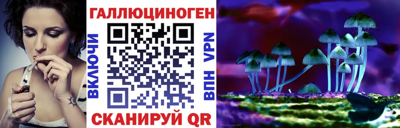 сколько стоит Болохово Галлюциногенные грибы Cubensis